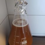 WLP067 - Costal Haze Ale yeast blend